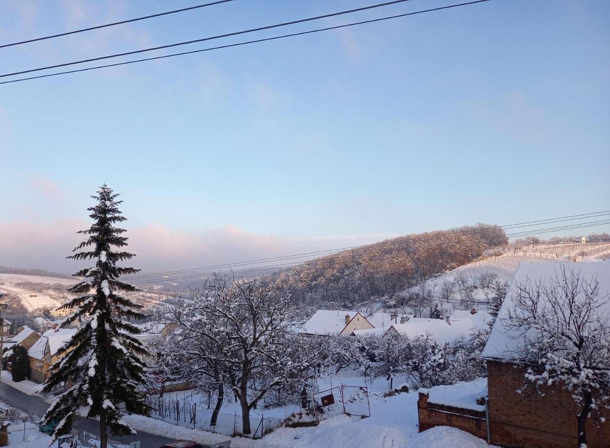 Apartmany 27 Němčičky Buitenkant foto
